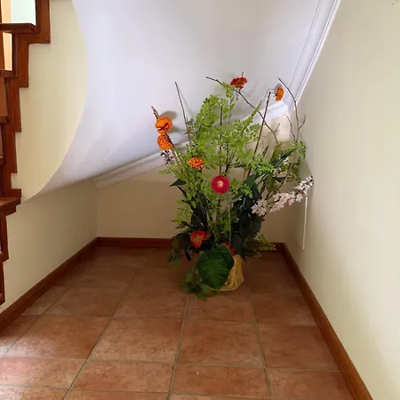 Guest house Casa Da Vala *